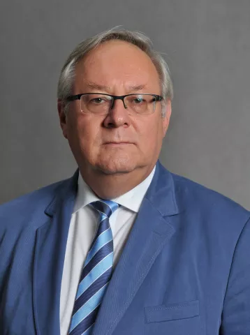 prof. dr hab. inż. Grzegorz Wielgosiński