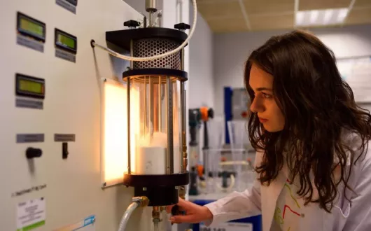 liofilizacja truskawek