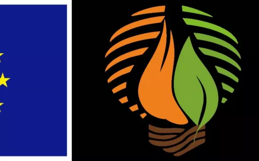 Projekt BioTrainValue