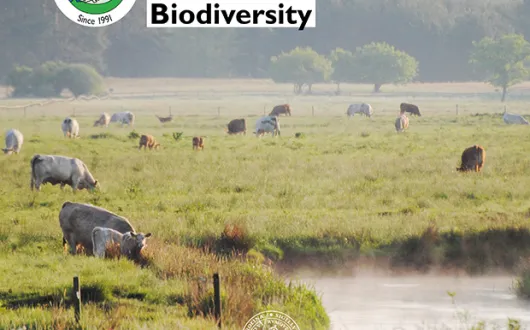 BUP Student Conference 2026