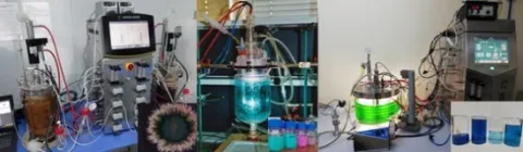 Department of Bioprocess Engineering